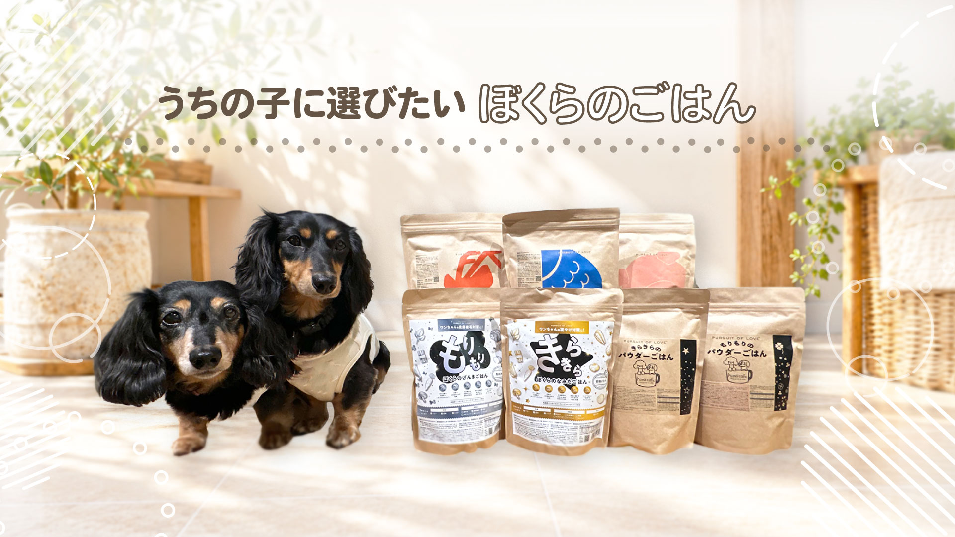 うちの子に選びたい、ぼくらのごはん