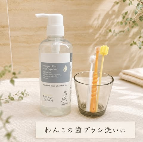 手軽に使える口腔ケア用品