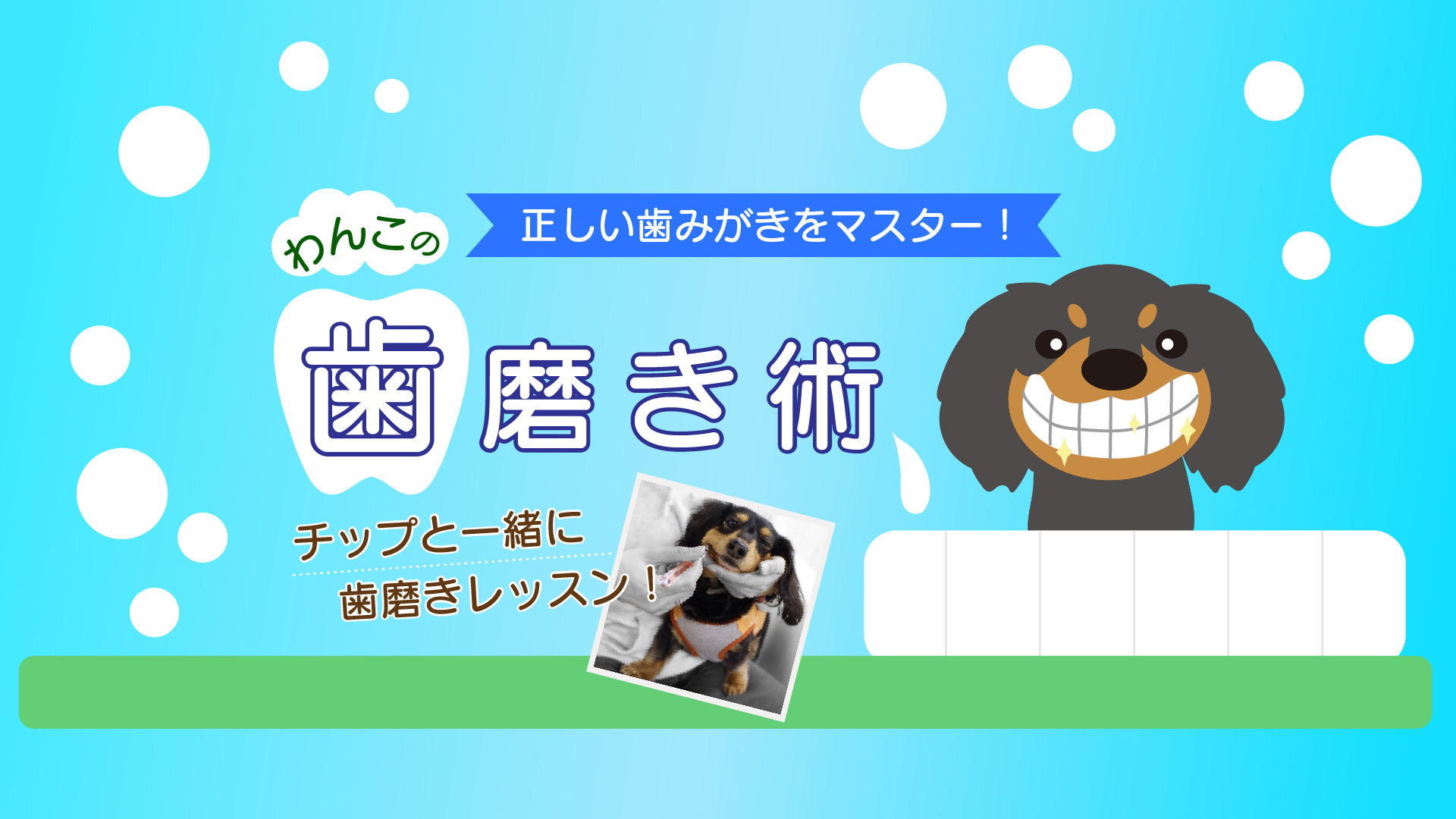 HOW TO 歯磨き特集