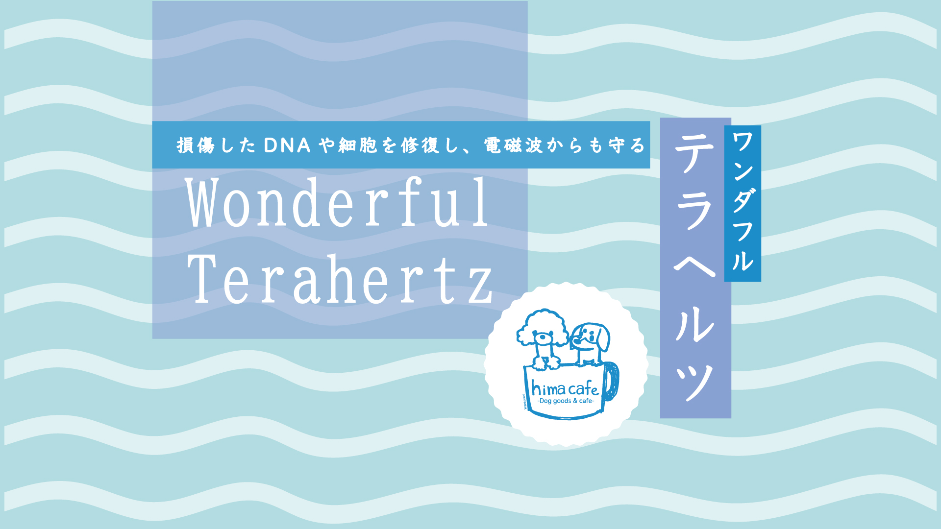 ワンダフルテラヘルツ特集