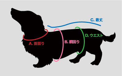 サイズの測り方