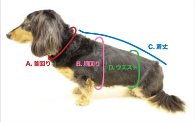 サイズの測り方