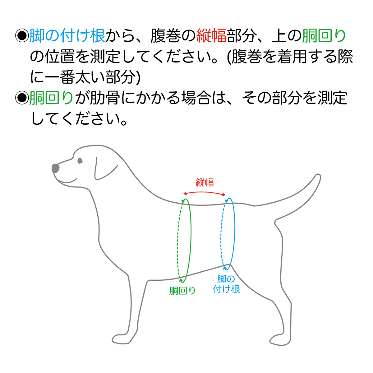 腹巻_01