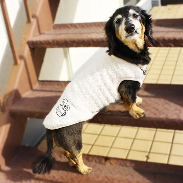 モデル犬:チョコ