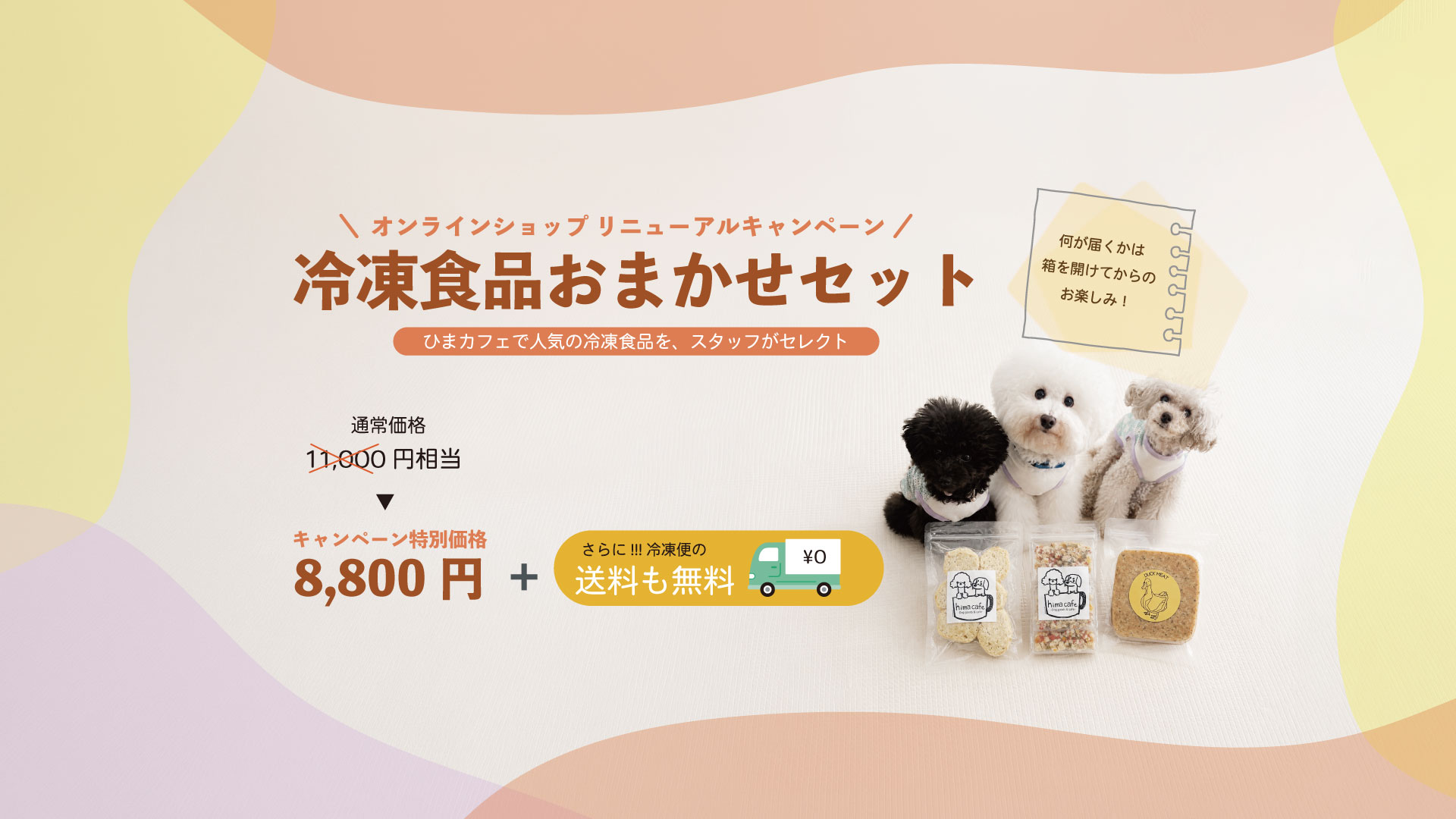 リニューアル記念！冷凍おまかせセット