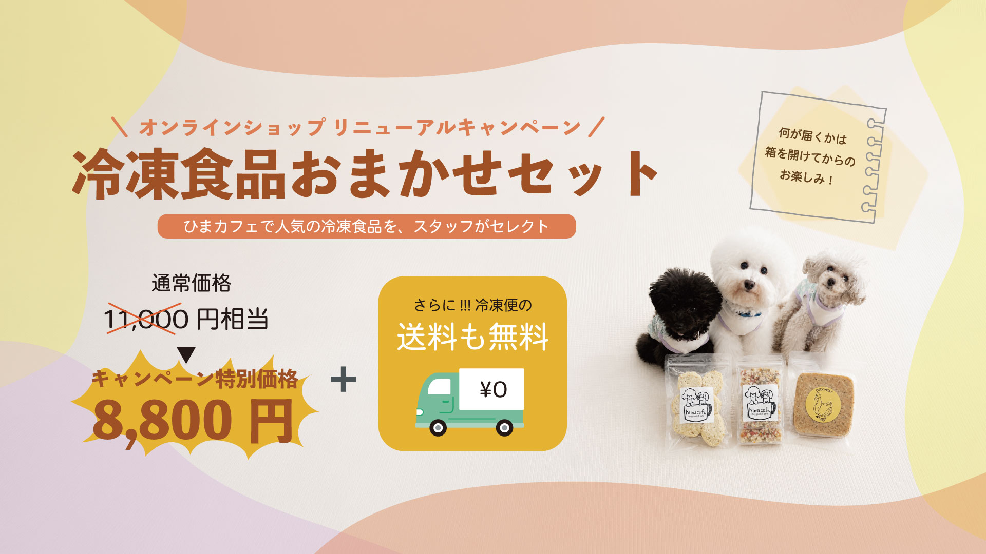 リニューアル記念！冷凍おまかせセット
