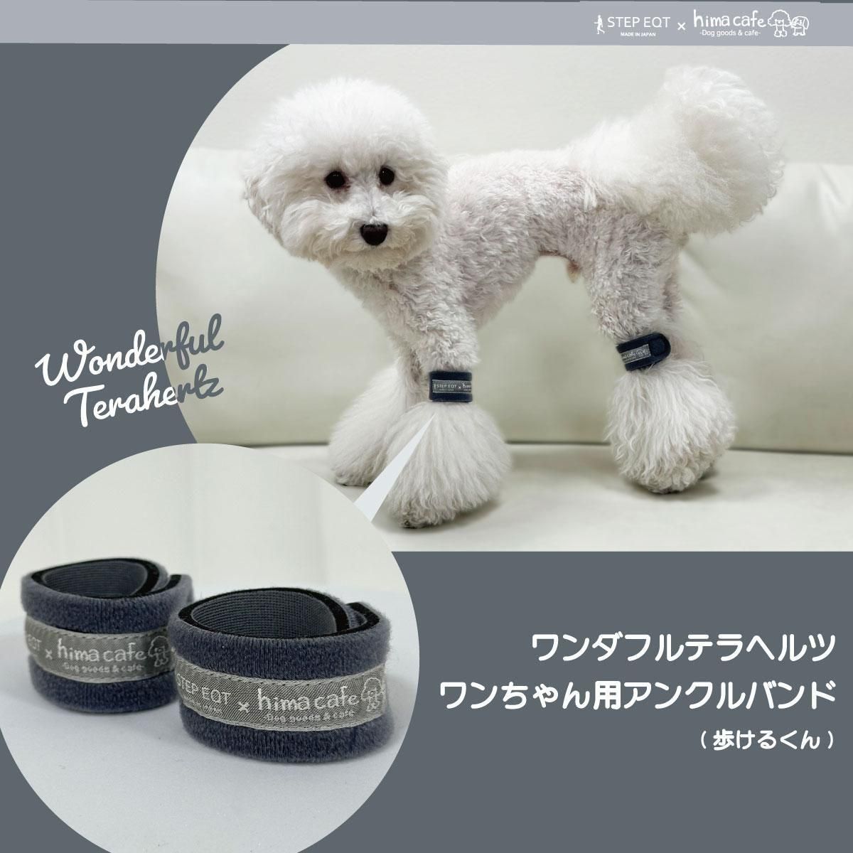 ひまカフェ×STEP EQT ワンダフルテラヘルツ 歩けるくん 犬用アンクル