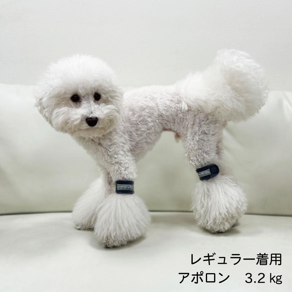 ひまカフェ×STEP EQT ワンダフルテラヘルツ 歩けるくん 犬用アンクル