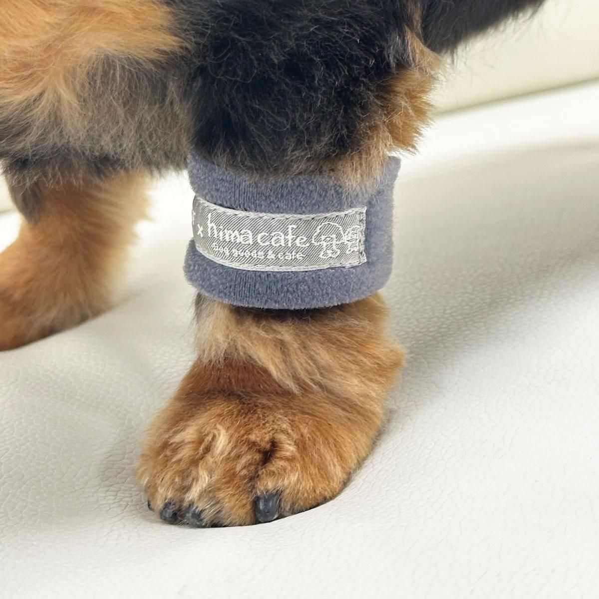 ひまカフェ×STEP EQT ワンダフルテラヘルツ 歩けるくん 犬用アンクル