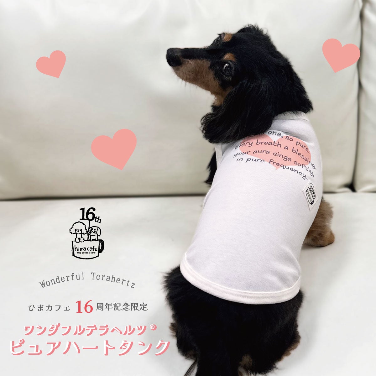 まぴ様☆犬服☆ハンドメイド✩.*˚ ひまカフェ16周年記念限定ワンダフルテラヘルツ ピュアハートタンク